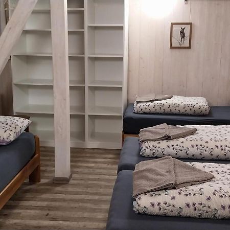 Ski Apartmany Nymburska Chata Пец-под-Снежкой Экстерьер фото